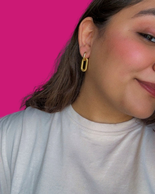 Sneaky Link Earrings