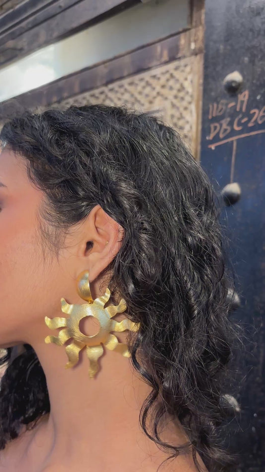 Roshni Danglers